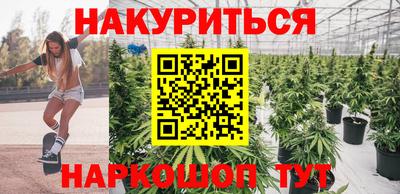 гидропоника Можайск